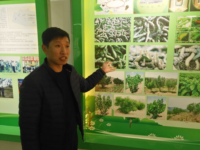 子长县蚕桑产业开发中心主任温建儒介绍重耳川蚕桑基地发展的远景规划。